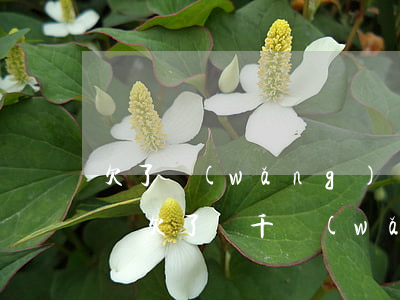 欠了網(wǎng)貸2萬(wàn)怎么辦(欠了兩千網(wǎng)貸怎么辦)