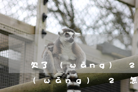 欠了網(wǎng)貸2萬怎么還啊(欠了網(wǎng)貸2萬怎么還啊)