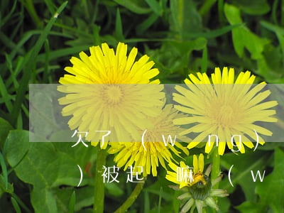 欠了網(wǎng)貸3600會(huì)被起訴嘛(網(wǎng)貸欠3500元被起訴嗎)