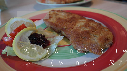 欠了網(wǎng)貸3萬(wàn)多怎么還(網(wǎng)貸欠了3萬(wàn)怎么辦)