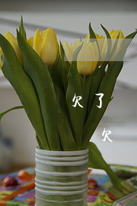 欠了網(wǎng)貸40萬還不起了怎么辦(欠網(wǎng)貸40萬還不出來怎么辦)