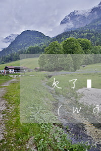 欠了網(wǎng)貸4萬塊還不起了(欠網(wǎng)貸四萬多還不起怎么辦)