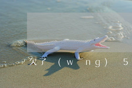 欠了網(wǎng)貸50萬要不要跟媳婦說