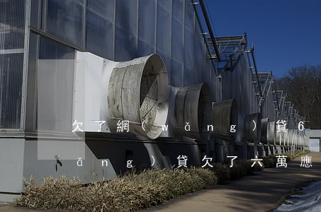 欠了網(wǎng)貸6萬該怎么辦(網(wǎng)貸欠了六萬 應(yīng)該怎么辦)