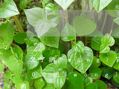欠了網(wǎng)貸7000不還(欠7000網(wǎng)貸會(huì)被起訴么)