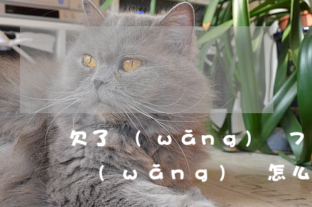 欠了網(wǎng)貸7萬怎么辦(欠七萬多網(wǎng)貸怎么辦)