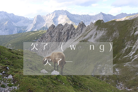 欠了網(wǎng)貸一千(網(wǎng)貸欠了一萬)