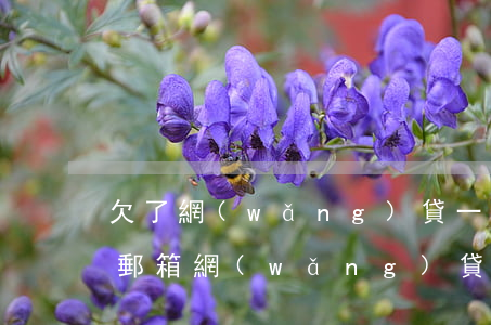 欠了網(wǎng)貸一直發(fā)qq郵箱(網(wǎng)貸逾期QQ群)