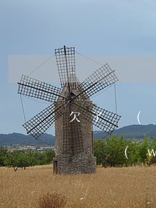 欠了網(wǎng)貸一萬(wàn)怎么還(網(wǎng)貸欠了1萬(wàn)多怎么辦)