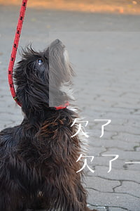 欠了網(wǎng)貸一萬多不敢給家人說(欠了一萬多網(wǎng)貸想跟爸媽說)
