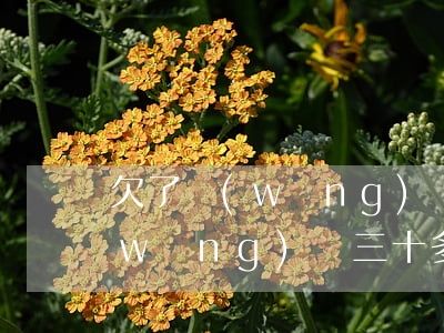 欠了網(wǎng)貸三千多(我欠各種網(wǎng)貸三十多萬)