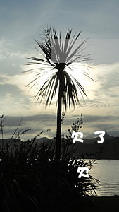 欠了網(wǎng)貸三年不還有什么后果(欠網(wǎng)貸3年不還沒有事)