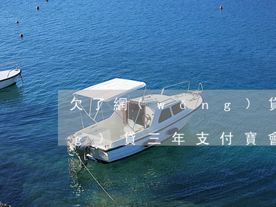 欠了網(wǎng)貸三年(欠了網(wǎng)貸三年支付寶會不會凍結(jié))