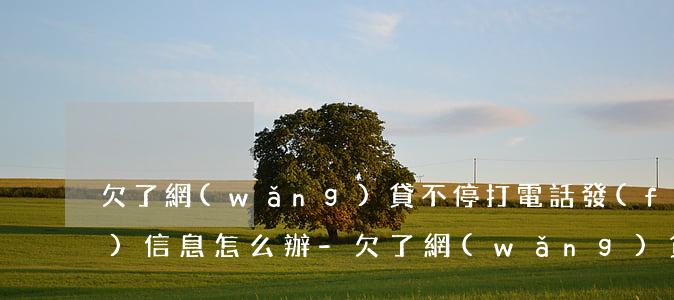 欠了網(wǎng)貸不停打電話發(fā)信息怎么辦-欠了網(wǎng)貸不停打電話發(fā)信息怎么辦呢