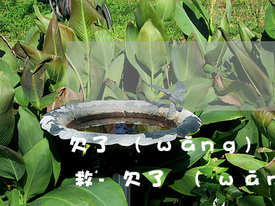 欠了網(wǎng)貸不想告訴父母如何自救-欠了網(wǎng)貸不敢告訴家人怎么辦