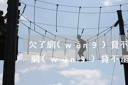 欠了網(wǎng)貸不想還怎么辦-欠了網(wǎng)貸不還會有什么后果