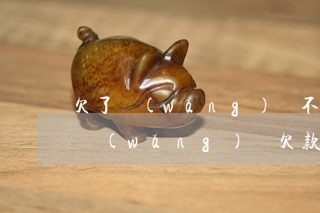 欠了網(wǎng)貸不敢告訴家人40萬(網(wǎng)貸欠款40萬怎么辦)