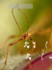 欠了網(wǎng)貸不敢告訴家人腫么辦(欠網(wǎng)貸不敢跟家里人說怎么辦)