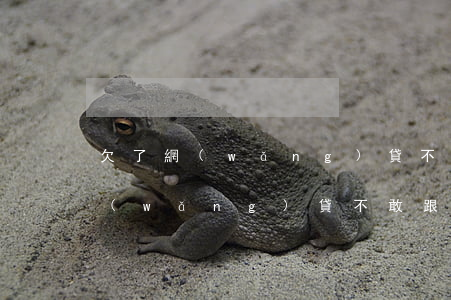欠了網(wǎng)貸不敢告訴爸媽(欠了網(wǎng)貸不敢跟父母說)