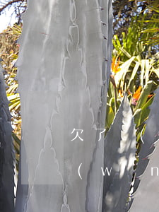 欠了網(wǎng)貸不敢告訴老公(欠了網(wǎng)貸老公不幫我怎么辦)