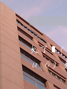 欠了網(wǎng)貸 不敢跟父母說(shuō)(欠了網(wǎng)貸不敢跟父母說(shuō))