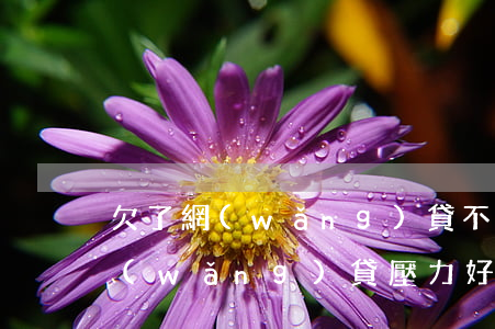 欠了網(wǎng)貸不要怕大(欠了幾萬網(wǎng)貸壓力好大)