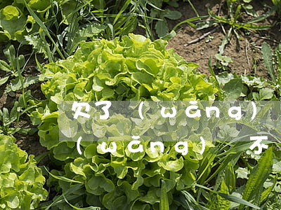 欠了網(wǎng)貸不還的有嗎(如果欠網(wǎng)貸不還會怎么樣)