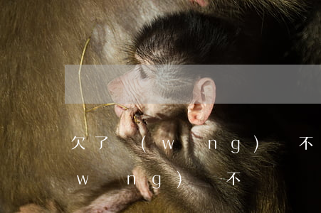 欠了網(wǎng)貸不還除了坐牢(欠網(wǎng)貸不還錢會坐牢嗎)