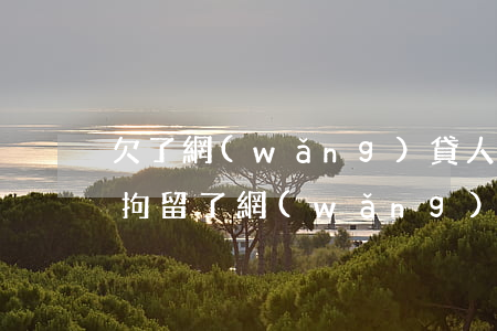 欠了網(wǎng)貸人在拘留所怎么還款(拘留了網(wǎng)貸怎么辦)