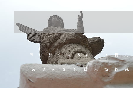 欠了網(wǎng)貸人意外死亡(欠了網(wǎng)貸人意外死亡)