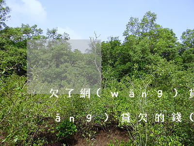 欠了網(wǎng)貸人死了要還么(網(wǎng)貸欠的錢(qián)人死了需要還嗎)