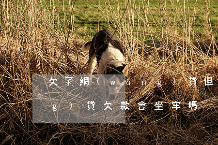 欠了網(wǎng)貸但坐牢了(網(wǎng)貸欠款會坐牢嗎)