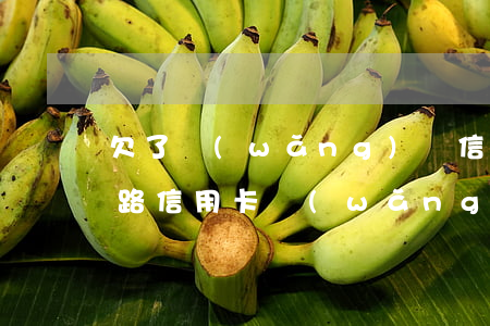 欠了網(wǎng)貸信用卡30萬走投無路（信用卡網(wǎng)貸欠30萬如何辦）