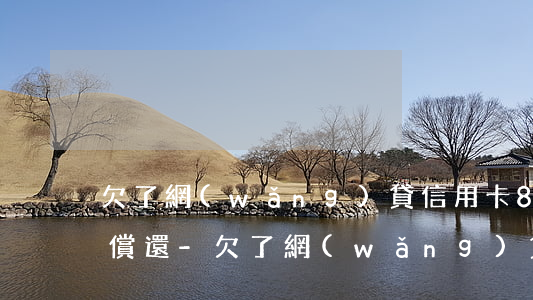 欠了網(wǎng)貸信用卡80多萬無法償還-欠了網(wǎng)貸信用卡80多萬無法償還怎么辦