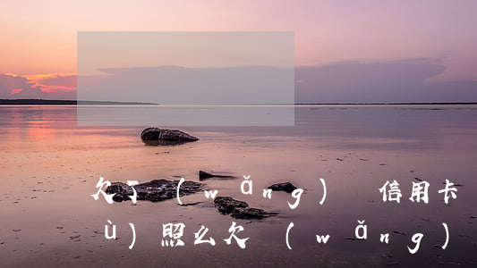 欠了網(wǎng)貸信用卡還能辦護(hù)照么(欠網(wǎng)貸可以辦理護(hù)照嗎)