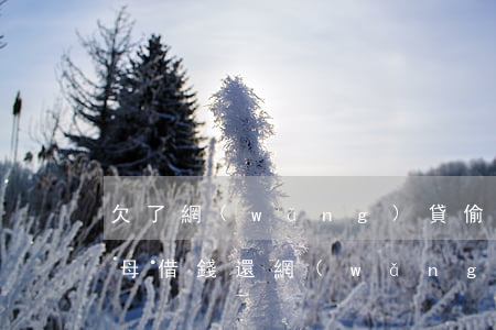 欠了網(wǎng)貸偷父母的錢還了(向父母借錢還網(wǎng)貸)