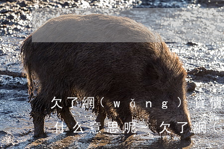 欠了網(wǎng)貸債務(wù)委托是什么意思呢-欠了網(wǎng)貸債務(wù)委托是什么意思呢怎么辦