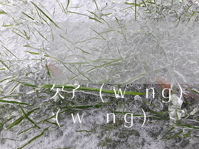 欠了網(wǎng)貸兩萬會坐牢嗎(欠了網(wǎng)貸兩萬會坐牢嗎)