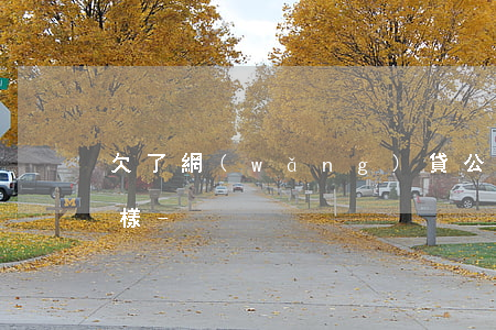 欠了網(wǎng)貸公司的錢不還會怎么樣-