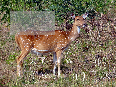 欠了網(wǎng)貸六怎么跟老婆坦白(網(wǎng)貸欠了六萬(wàn)多怎么跟老婆說(shuō))