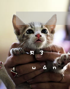 欠了網(wǎng)貸別人騷擾我家人(網(wǎng)貸逾期找我家人算騷擾嗎)