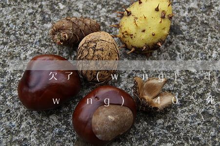 欠了網(wǎng)貸十幾萬想死了(欠網(wǎng)貸40萬死了算了)