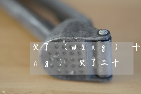 欠了網(wǎng)貸十萬還不上(網(wǎng)貸欠了二十萬還不起怎么辦)