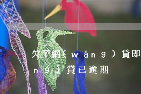 欠了網(wǎng)貸即將逾期了(網(wǎng)貸已逾期)