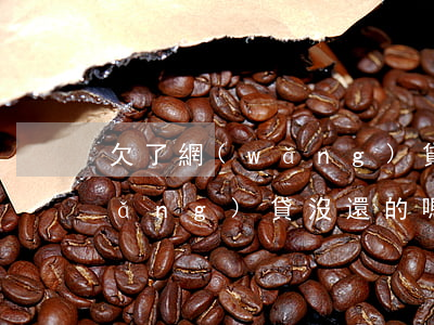 欠了網(wǎng)貸又沒錢還(有欠網(wǎng)貸沒還的嗎)