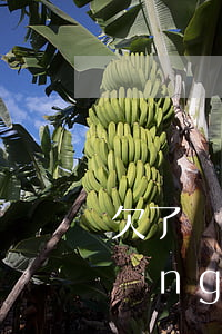 欠了網(wǎng)貸可以坐火車不(網(wǎng)貸不還不能坐火車嗎)