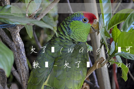 欠了網(wǎng)貸可以用抵押物抵押貸款嗎-欠了網(wǎng)貸可以用抵押物抵押貸款嗎安全嗎
