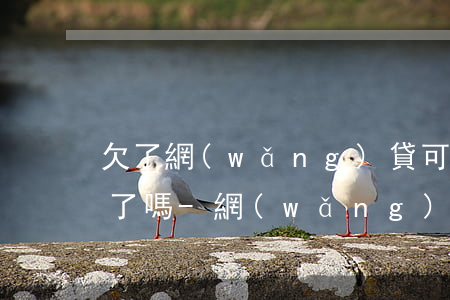 欠了網(wǎng)貸可以辦理存折劃扣得了嗎-網(wǎng)貸能劃走存折里面的錢嗎