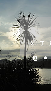 欠了網(wǎng)貸向家人坦白開不了口(坦白網(wǎng)貸家人不接受)