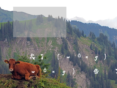 欠了網(wǎng)貸告訴了媽媽(欠了網(wǎng)貸告訴了媽媽)